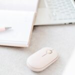 Sabrina Schodnik Backoffice Services